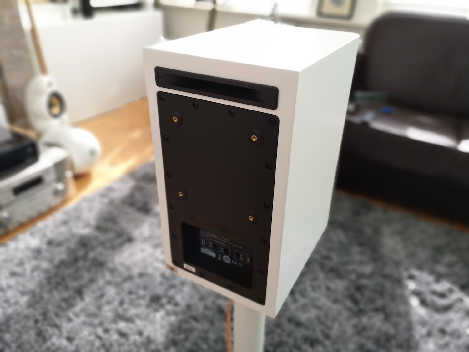 dynaudio xeo 20 review