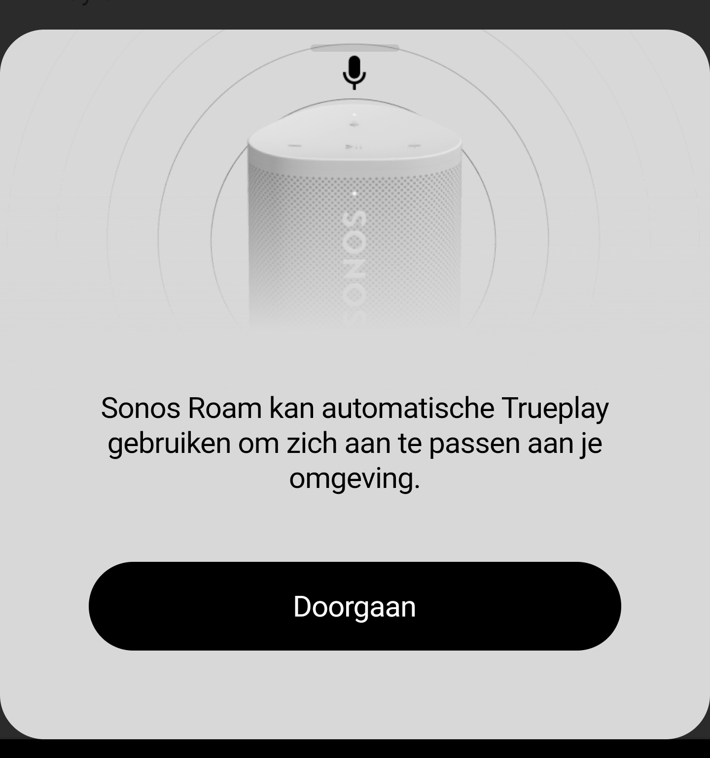 lid Oproepen Economisch Review Sonos Roam