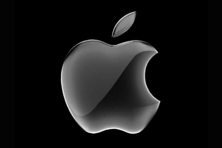 Apple Logo - 21012011