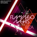 Flamingo Nights Ibiza